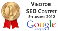 Posizionamento sui Motori di Ricerca: Premio SEO Contest 2012
