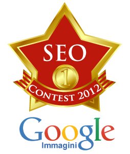 Posizionamento sui Motori di Ricerca: Premio SEO Contest 2012